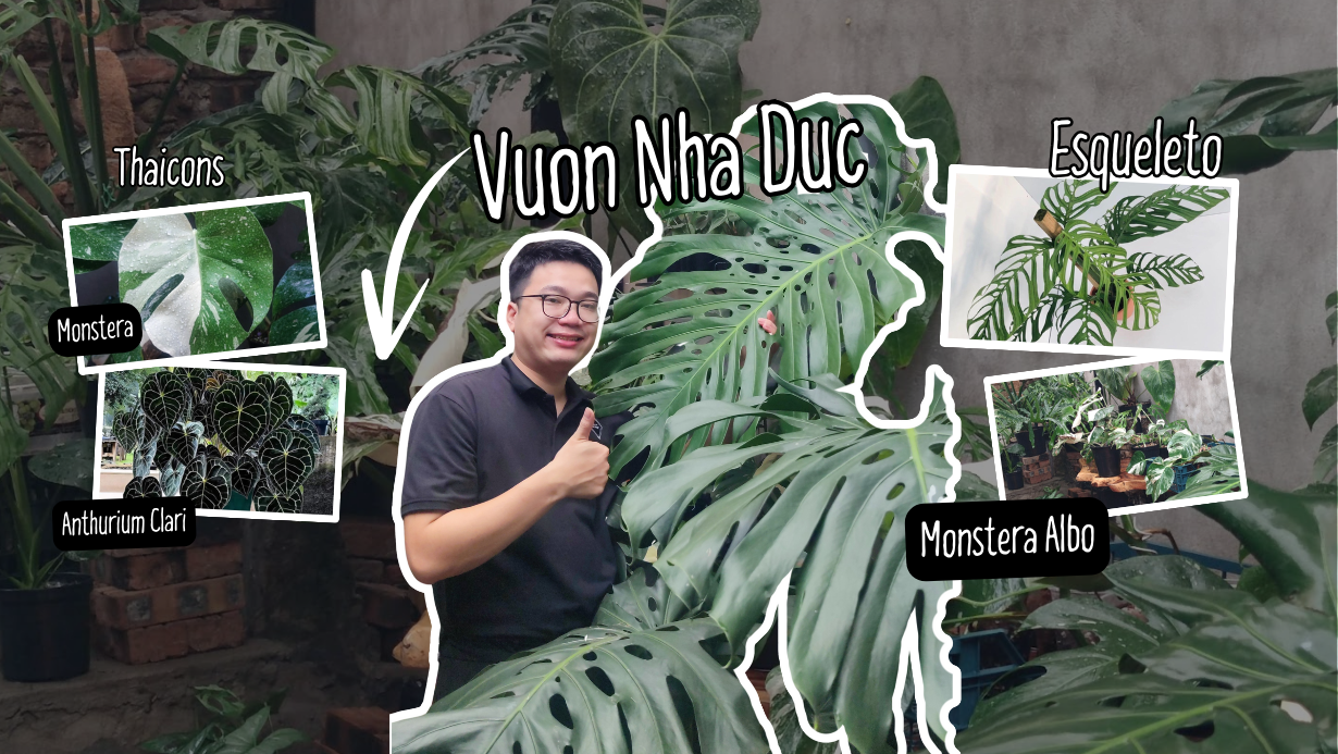 Banner vườn nhà đức 2