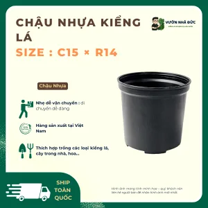Chậu nhựa kiểng lá size _ C15 × R14