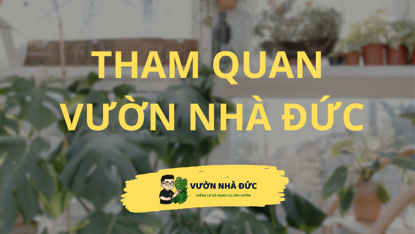 Tham quan vườn nhà đức