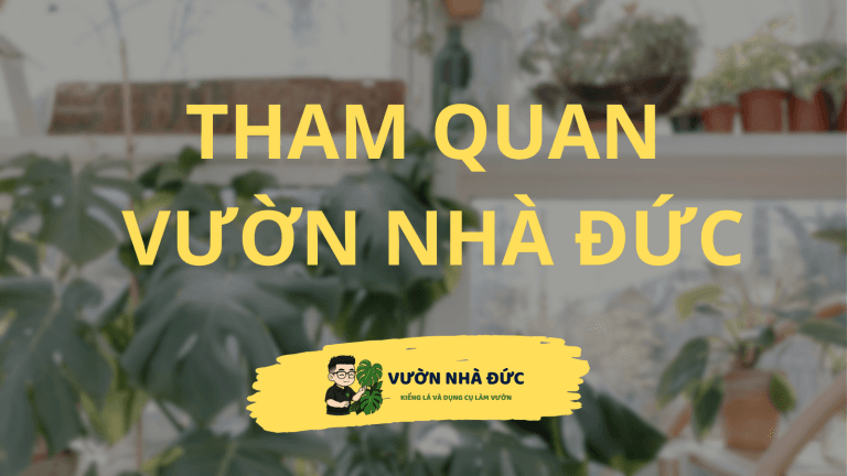 Tham quan Vườn Nhà Đức