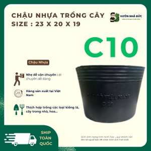 CHẬU NHỰA TRỒNG CÂY KIỂNG LÁ C10 KÍCH THƯỚC 23x19