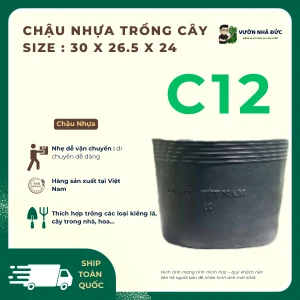 Chậu nhựa trồng cây C12 size _30 x 26.5 x 24