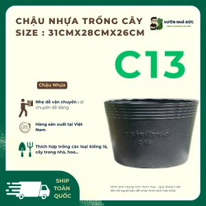 CHẬU NHỰA TRỒNG CÂY KIỂNG LÁ C13 KÍCH THƯỚC 31cmx28cmx26cm