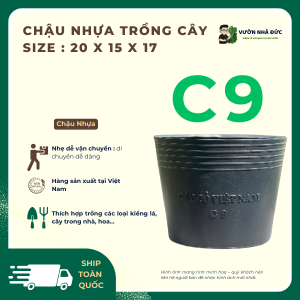 Chậu nhựa trồng cây C9 size _ 20 x 15 x 17