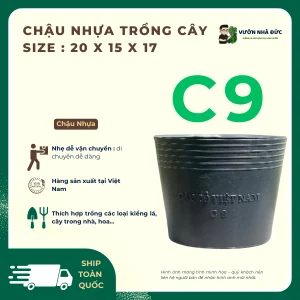 Chậu nhựa trồng cây C9 size _ 20 x 15 x 17