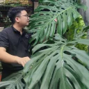 Vườn Nhà Đức