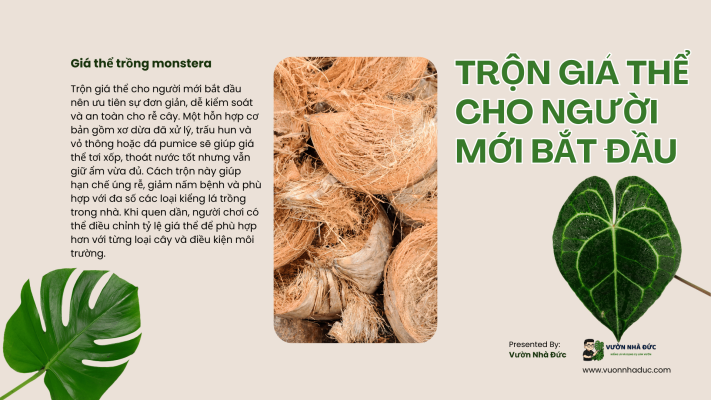 Trộn giá thể trồng kiểng lá cho người mới bắt đầu