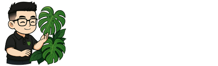 VƯỜN NHÀ ĐỨC