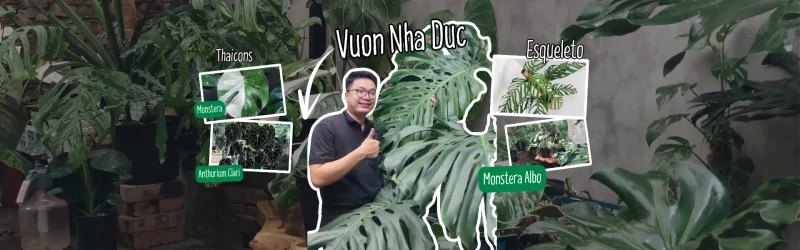 Đức cùng những cây kiểng lá ở Vườn Nhà Đức