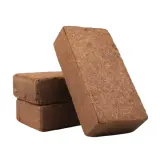 Xơ dừa trồng cây giá thể sạch